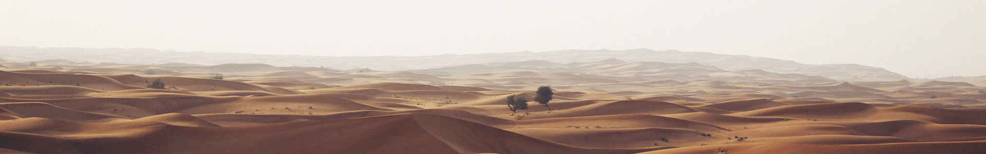 ɽսó޹˾
